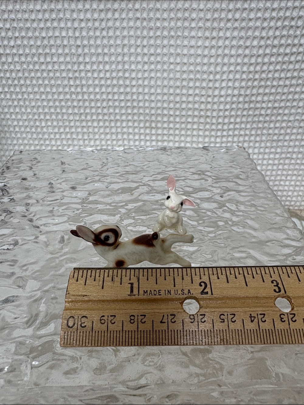 Miniature bunnies - Picture 9 of 10